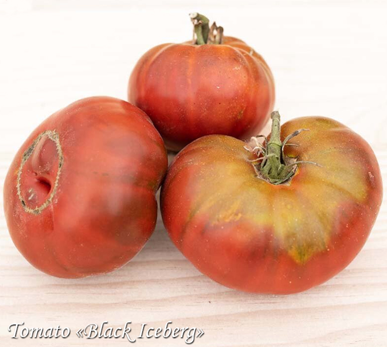 Tomato Black Iceberg, мясистый томат Чёрный айсберг